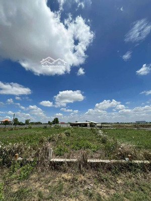 ban dat nen mỹ lộc , cần giuộc , đường cộng đồng lộc trung . 140m2 giá để tốt 750 chốt luon.