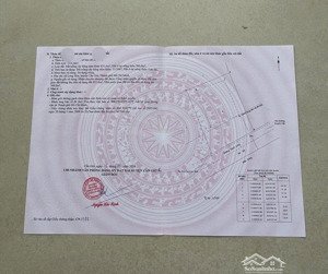 bán đất thổ cư đối diện siêu dự án vinhomes green paradise, diện tích 1331,6m2