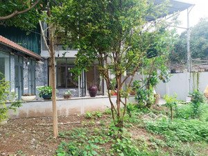 bán biệt thự sân vườn giữa lòng hà nội, loanh quanh 10 tỷ