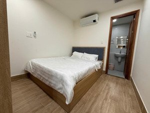 cho thuê chung cư mini 1pn 1vs 18m2 tại lý tự trọng, bến nghé, q1, hcm