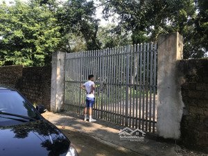 bán gấp đất tại thôn xuân linh, 12tỷ, 1470m2, pháp lý đầy đủ, đường vào 5m