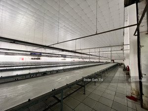 bán nhà xưởng đường container hương lộ 2 dt 1.500m2 odt giá 90 tỷ tl