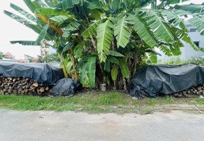 cần ra đi lô đất diện tích 100m2 - gần chợ long phước, quận 9 khu vực đông đúc, kinh doanh tốt