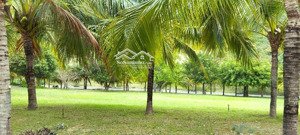 bán villas rộng 500m2 khu an ninh yên tĩnh văn minh