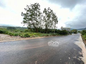 bán lô đất mặt tiền đường chính măng ling 281m2 giá 5,6 tỷ thương lượng view đẹp đường nhựa 10m