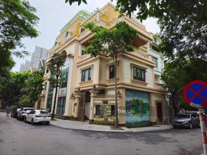 hot $$$ chính chủ bán biệt thự lô góc phố đình thôn, thiên hiền, nam từ liêm.