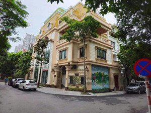 chính chủ bán biệt thự lô góc kđt trung văn, tố hữu, nam từ liêm.