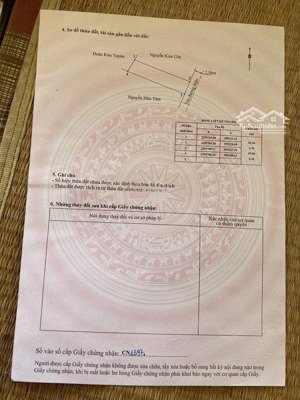 mặt đường thôn trung tâm tân phong ( nay là xã kiến hải ). đường đang làm mới trải nhựa diện t