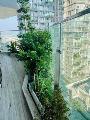 cho thuê căn hộ sân vườn sol forest ecopark 3pn, full đồ, view đảo