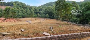 đất nền tại xã yên bình, thạch thất, hà nội với diện tích 1112m2, pháp lý đầy đủ giá rẻ