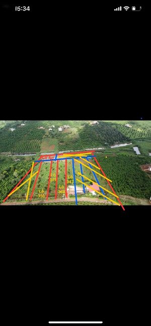 bán rẻ vài lô đất gần đà lạt. phong thuỷ tốt view sông, săn mây, sầu riêng 9 năm, cafe, 931triệu/lô