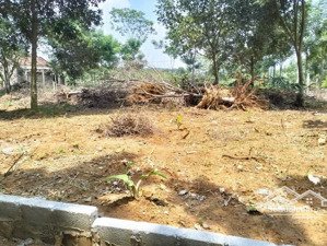 một lô đất đầy đủ mọi yếu tố đẹp , giao thông , pháp lý , giá thì rẻ , đầu tư là thắng