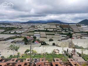 Bán Đất Kqh Huỳnh Tấn Phát, Phường 11, Tp. Đà Lạt – Vị Trí Gần Xóm Lèo, View Đồi Thông Thơ Mộng