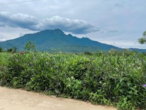lô đất wwiu cánh đồng thoáng hướng nhìn thẳng núi ba vì ; lh giá dầu tư