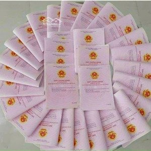 đất chơn thành, giá tuyệt chủng, sổ sẵn