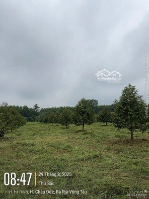 bán đất bàu chinh diện tích 11.000m², 2 mặt tiền, sầu riêng kín vườn