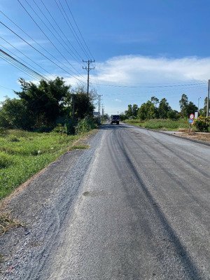 cần bán 2307 m2 đất mặt tiền nhựa tl877b, tân phú đông, tiền giang. lh 