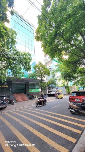 bán tòa nhà mp mậu lương 100m2, mt 10m đang kinh doanh sầm uất.