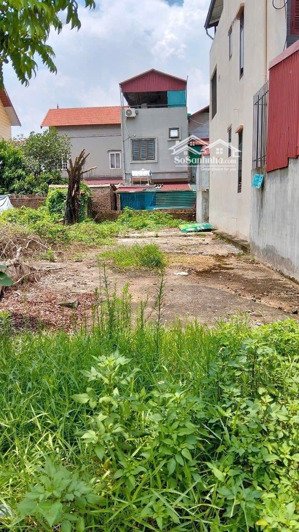 trâu quỳ -gia lâm bán mảnh đất vàng có 1 không 2.vị trí đẹp.giũa trung tâm trâu quỳ