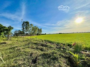 bán đất 2000m2 tại xã phước thubán đất 2000m2 tại xã phước thuận, 12 tỷ, xuyên mộc, bà rịa vũng tàu