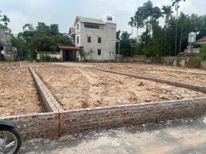 chính chủ vỡ nợ bán gấp 42.5m trạch mỹ lộc - đường ô tô tránh giá chỉ 1 tỷ 550