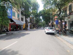 Bán nhà Mặt Phố Ngô Thì Nhậm - HBT 180m2, Mặt tiền 7m