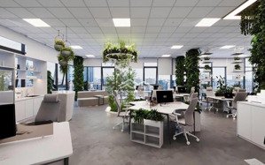 cđt tòa hei - ngụy như kon tum cho thuê văn phòng s: 85m, 105m, 150m2.. 1000m2, giá thuê 180k/m2/th