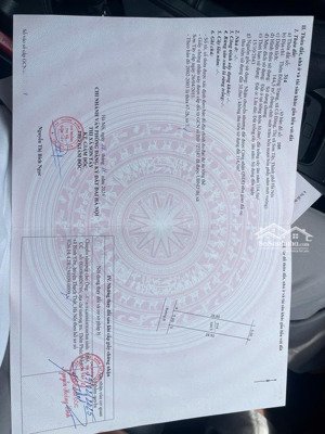 bán đất trục chính đồng trạng; cổ đông