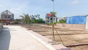 bán nhanh lô tại áng sơn, an lão, hải phòng giá chỉ 586tr/ diện tích 65m, thực tế sử dụng đến 130m