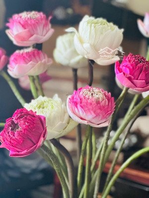 mặt tiền kinh doanh cực đỉnh trung tâm hải châu chỉ 13.5 tỷ đống đa.