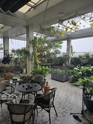 bán penthouse sân vườn 250m2 chung cư thăng long garden 250 minh khai full nội thất