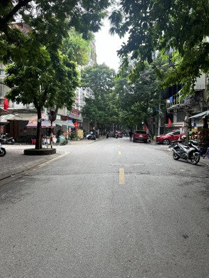 biệt thự nhà vườn lô góc 2 mặt tiền kinh doanh đỉnh giá rẻ nhất cầu giấy, giá 39.6 tỷ.