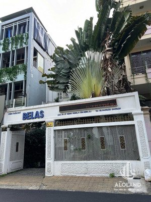 cần bán nhà mt đặng dung_trần nhật duật, p. tân định, q1. dt: 8x20m, hầm 2 lầu. gía 107 tỷ tl