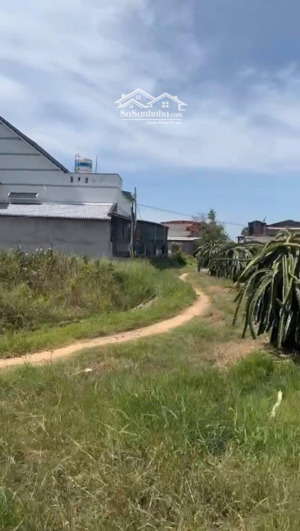 bán 1188m2 đất ngộp hẻm ngô thì nhậm - tân hải - tx lagi chỉ 750 triệu chính chủ