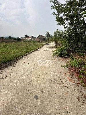 chính chủ cần bán thanh khoản lô góc 78,8m2 bắc sơn sóc sơn hà nội