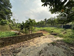 bán nhanh 1800m² canh đường ql21 giá chỉ 14 triệu/m², sổ đỏ, pháp lý đầy đủ