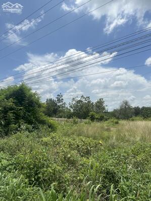 bán đất trồng cây lâu năm 1000m2 giá 7tr/m2 ngay KDC Đông Tăng Long