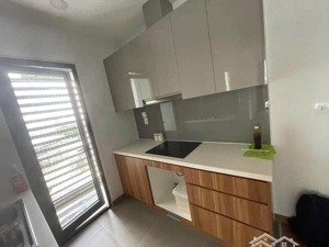 cho thuê eco green q7 ntcb căn góc 14.5tr ở ngay