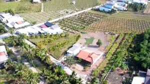 bán đất siêu đẹp ở vĩnh công, châu thành, long an giá chỉ 2,6 tỷ, 536m2