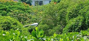 bán cc 1pn, 1wc, 50m2 tại kcn tân bình, 2,3 tỷ, view đẹp chỉ với