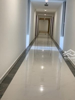 cho thuê ch precia, nguyễn thị định, an phú, q2, 14 triệu, 71m2, 