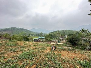 rất đẹp 1237m cách trục cao tốc hoà bình chỉ hơn 1km đất đẹp giá 6tr/m2