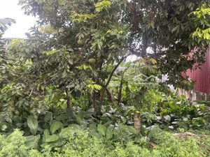 lô đất trung tâm phố hiến xưa, giá hời trong hôm nay