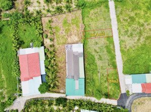 bán 2 lô đất full thổ diên hoà chỉ 850 triệu