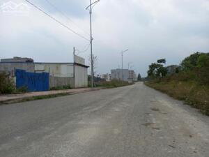 1 lô Hán Lữ nhìn đường 52m kinh doanh cực đẹp sổ sẵn công chứng