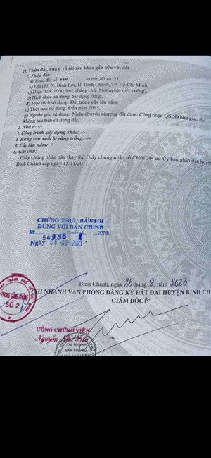 cần bán gấp đất sổ riêng sang tên ngay diện tích 1000m đất bình chánh tphcm giá rẻ 2.8 tỉ lh ngay