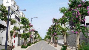 sở hữu nhà phố an cư -trú ẩn tài sản an toàn trước trượt giá tại lavida vũng tàu-hcm