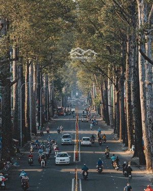 mặt tiền đường 15m cư xá lữ gia, p15, q11, dt: 8,5m x 24m, nở hậu đều 10m, dtcn 220m2, giá 42 tỷ