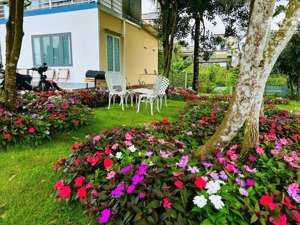 home stay nghỉ dưỡng bảo lộc 536m2 đầy đủ tiện ích chỉ hơn 3tỉ