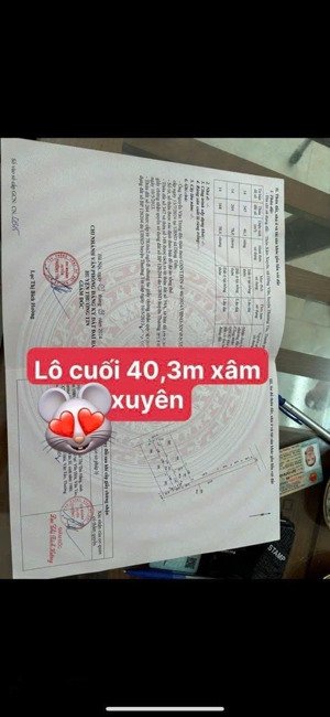 siêu phẩm lô góc gần vành đai 4 tại xâm thị hồng vân